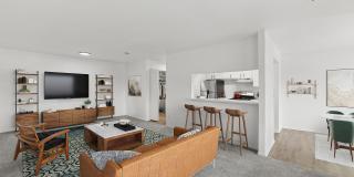 ReNew Woodland North and South Gallery 3