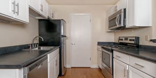 Verde Verde Gallery 5