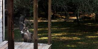 445 SCENIC HILLS DR Gallery 22