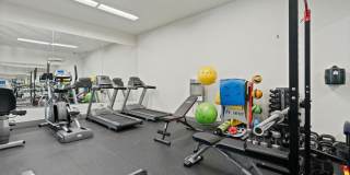 The Fifty at Division Gallery 17