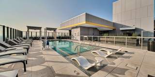 The Ellis Gallery 18