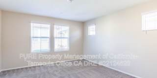 41966 Pedraza St Gallery 11