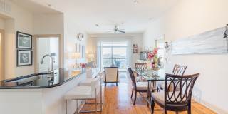 Domain at Kirby Gallery 1