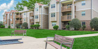 Sussex Downs Gallery 62