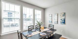 RISE Sereno Gallery 58