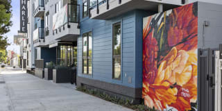 The Charlie Mar Vista Gallery 56