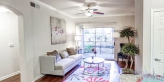 Nolina Flats Nolina Flats Gallery 7