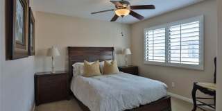 55111 Tanglewood Gallery 24
