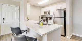 Lexington Palms at the Forum Gallery 6