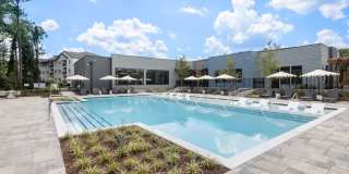 Solis Buffaloe Gallery 30