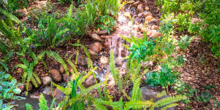 937 Camino Viejo Road Gallery 29