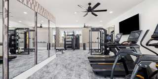 Sea Trace Gallery 20