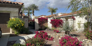392 Desert Holly Drive Gallery 4