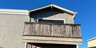 z775BeniciaDr Gallery 1