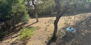 Spacious 4-Bedroom Home with Finished Basement & Large Backyard! Gallery 29
