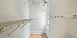 3914 HERSCHEL Street Gallery 19