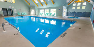 ReNew Woodland North and South Gallery 37