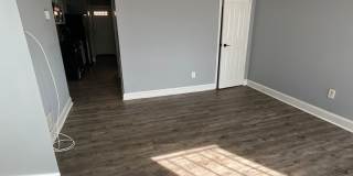 H St/Kingman Park - Renovated 1 bedroom Gallery 7