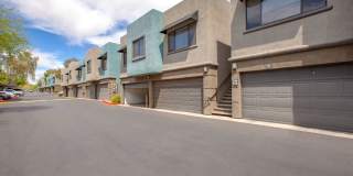 Monte Viejo Gallery 38