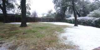 Large 3 Bedroom Home In Enterprise Area Gallery 3