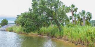 Bayou Breeze Condominiums Gallery 33