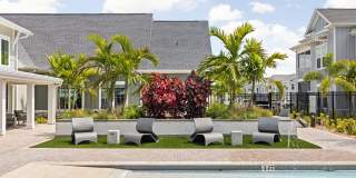 Palm Grove Gallery 24