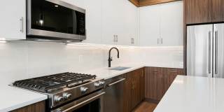 56th at Arcadia Gallery 15