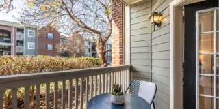 Halstead Centreville Gallery 33