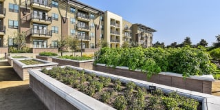 Citrine Apartments Arcadia Gallery 25