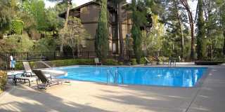 3334 Brittan Ave Apt 10 Gallery 18