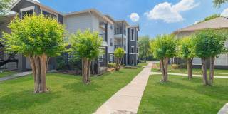 Medical Center Gallery 28