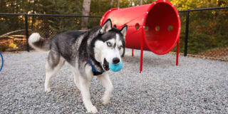 Avalon Alderwood Gallery 29