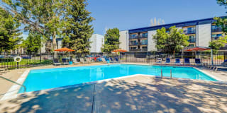 Sage at Panorama Gallery 7