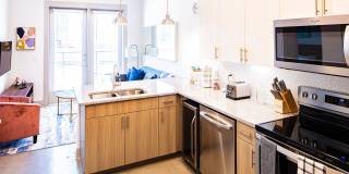 Mystique at University Heights Gallery 26