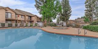 Mountain Springs Gallery 2