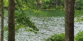 3330 Windemere Drive Gallery 19