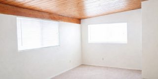 Alvernon Way Gallery 3