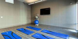 Luxembourg Gallery 19