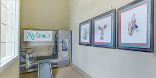 Avino Gallery 20