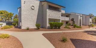 Allora at Spring Valley Gallery 6