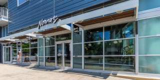 The Fitzgerald Gallery 12