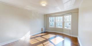 78 BUCHANAN Gallery 1
