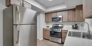 La Serena at the Parque Gallery 19