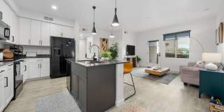 The Premiere at Eastmark Gallery 1