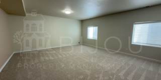 Beautiful 5-Bedroom Home Featuring Pikes Peak Views, Finished Basement & Private Backyard Gallery 11