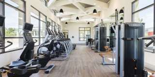 The Mayfair Gallery 16