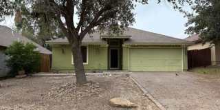 316 Cinnamon Teal Lp Gallery 1