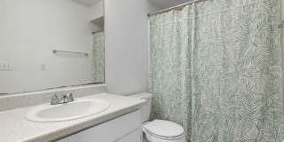 19378 CoralTree Ct Gallery 11