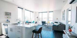 Eleanor Eleanor Gallery 13