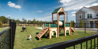 Capital Crest at Godley Station Gallery 58